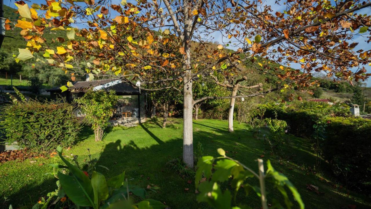 Lago Village House Калампака Экстерьер фото